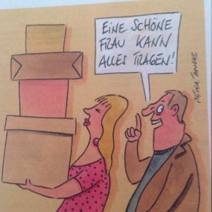 Karin-Schulz-Cartoon